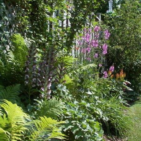 Antique Slumber Old Town Bed & Breakfast Niagara-on-the-Lake ภายนอก รูปภาพ